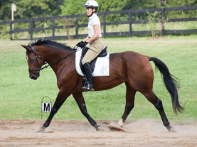 Screen Shot 2017-08-15 at 2.14.21 PM