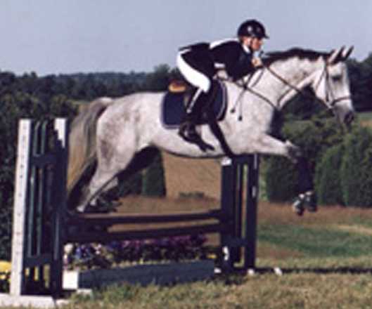 Screen Shot 2017-08-15 at 2.14.41 PM