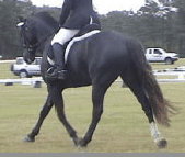 Screen Shot 2017-08-15 at 2.21.34 PM