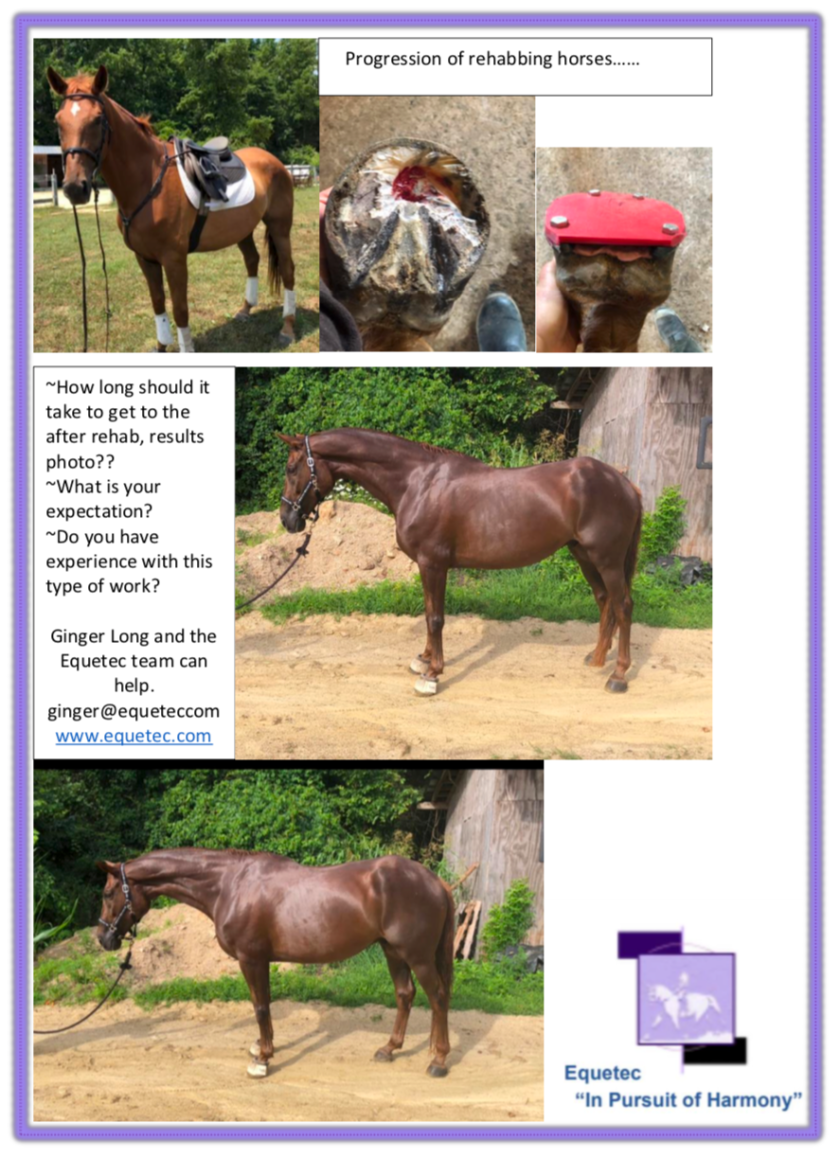 Screen Shot 2020-07-07 at 12.23.26 PM